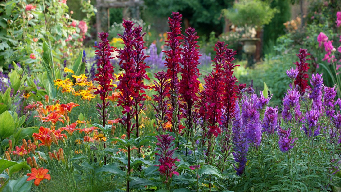 20 Tall Perennials That Bring Color & Drama to Any Space
