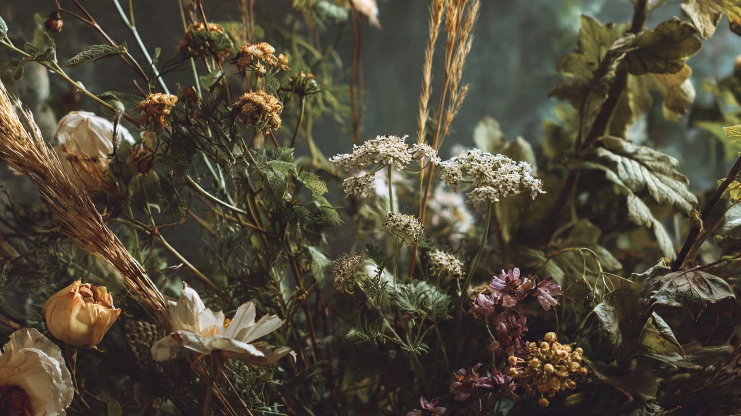 How Can You Craft a Stunning Bouquet with Just Weeds and Wild Grass?