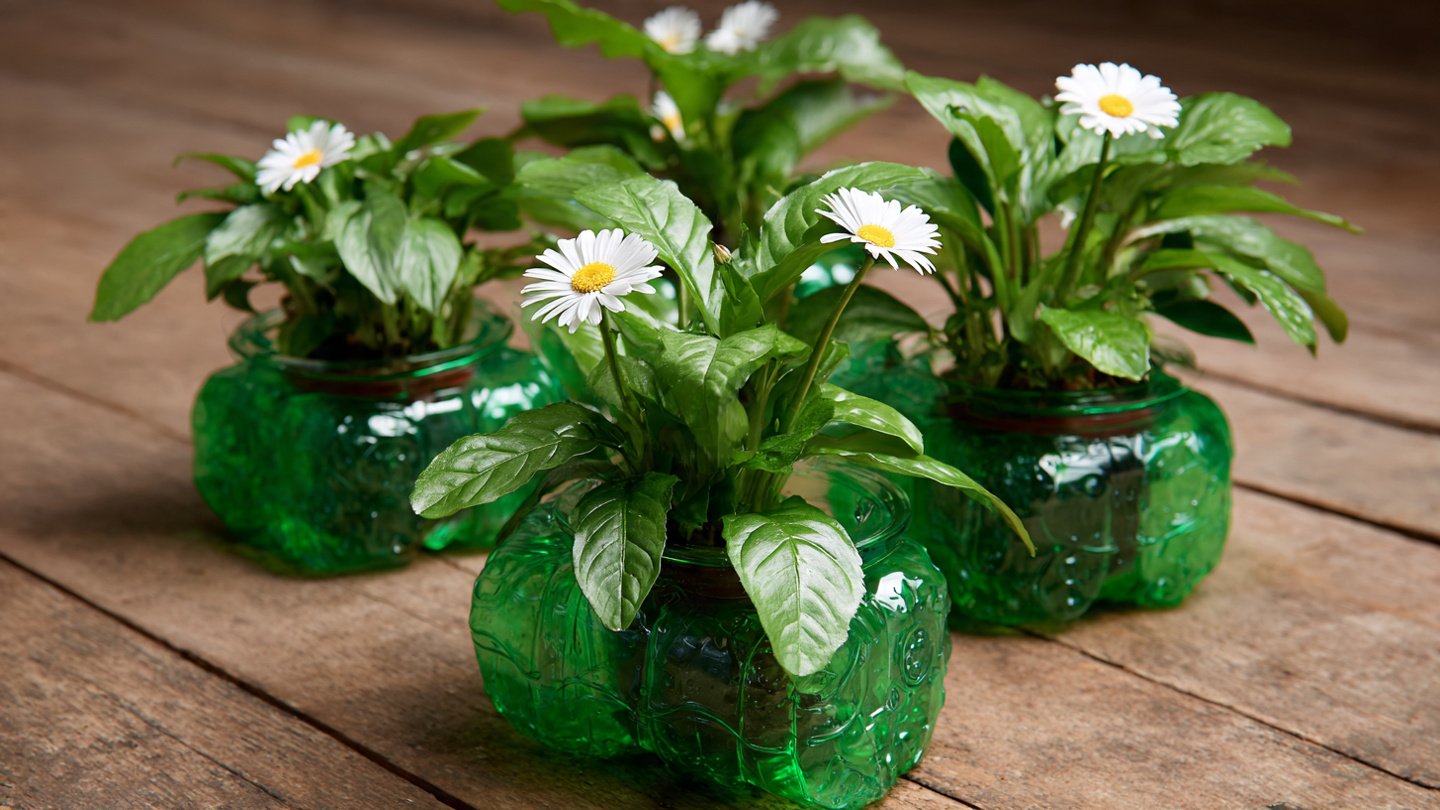 Recycle Plastic Bottles into Beautiful Flower Pots: Eco-Friendly DIY Ideas and Sustainable Trends