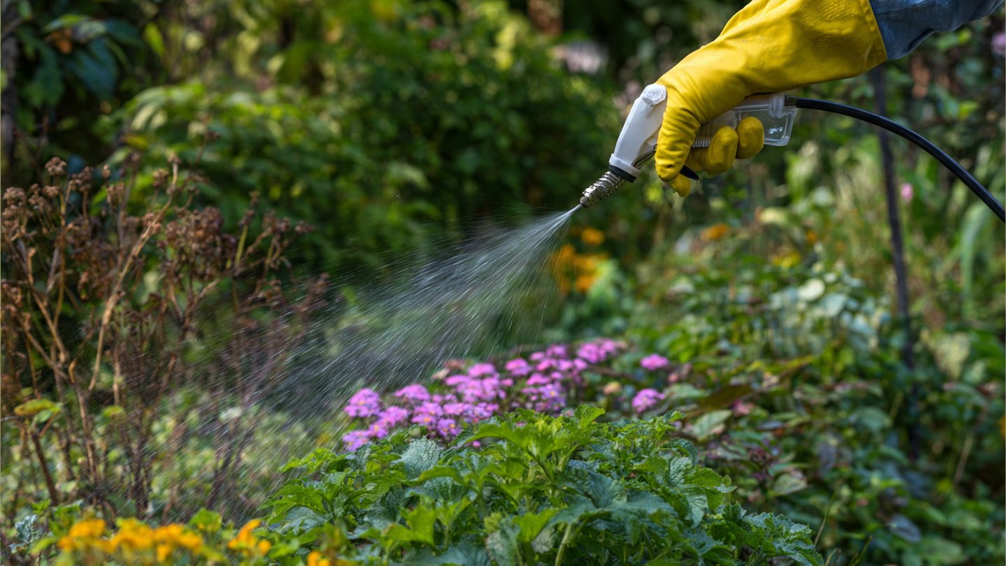Why Should You Spritz Your Garden Weeds with Vinegar Spray?