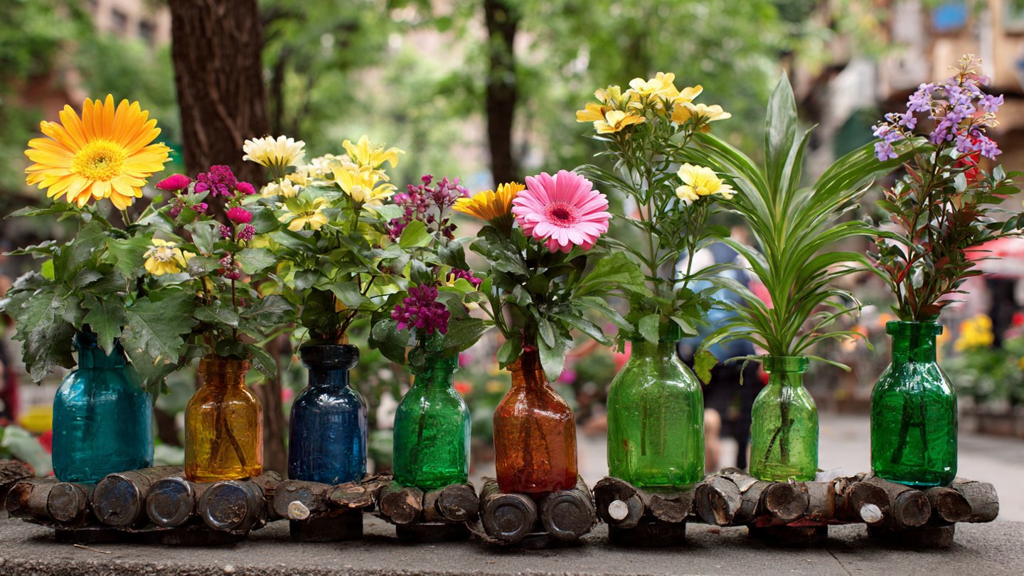 Wonderful Flower Pots: Creative Plastic Bottle Recycling Ideas for Eco-Friendly Gardens